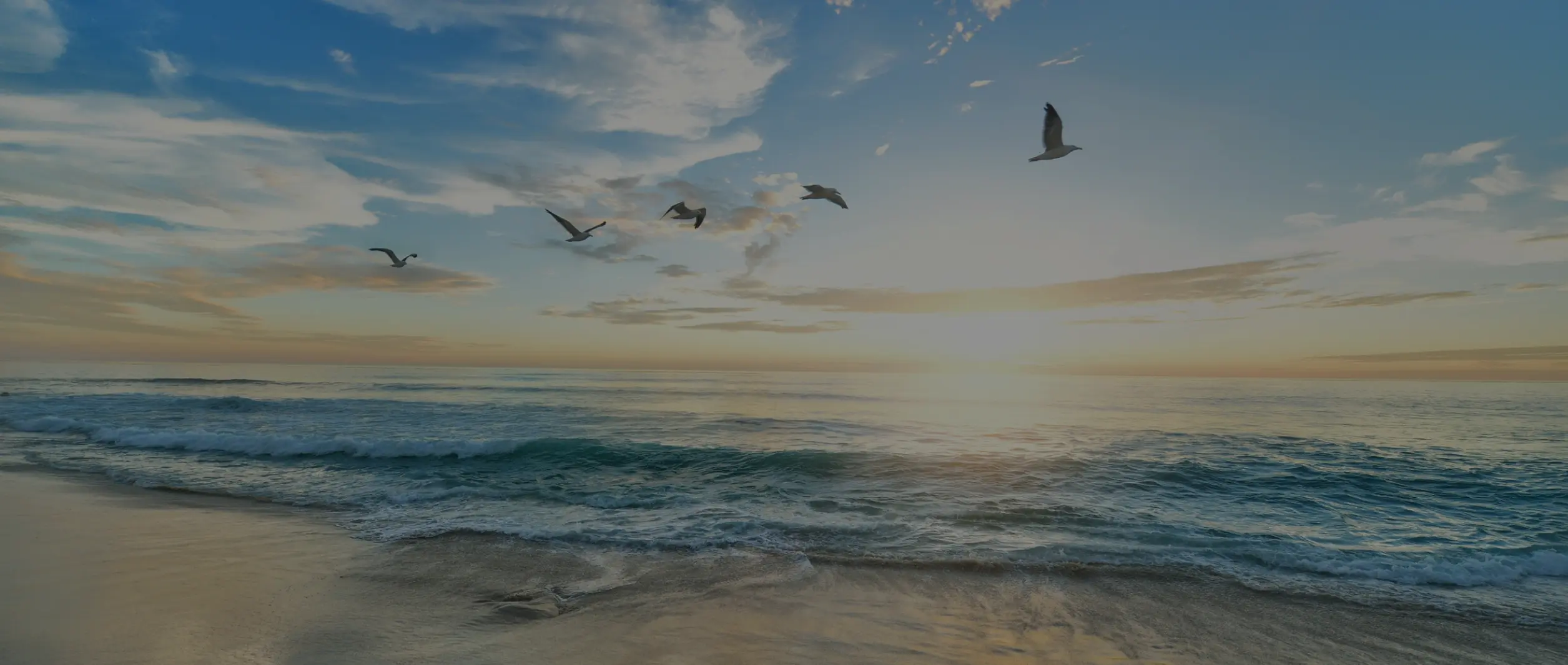 Hero background 6